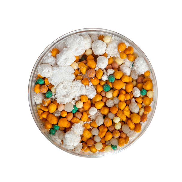 Fertilizer granules in petri dish - Photo, Image