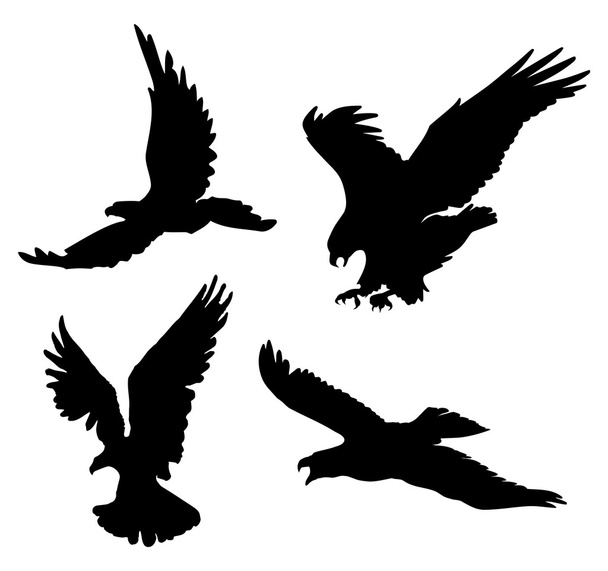 Flying eagles silhouettes on white background, vector illustration. - Vector, Image