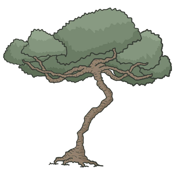 Meşe ağacı çizimi - Vektör, Görsel