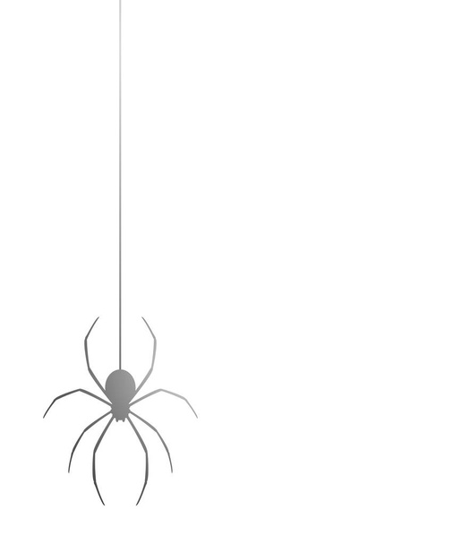 Spider vector vector illustration - Vettoriali, immagini