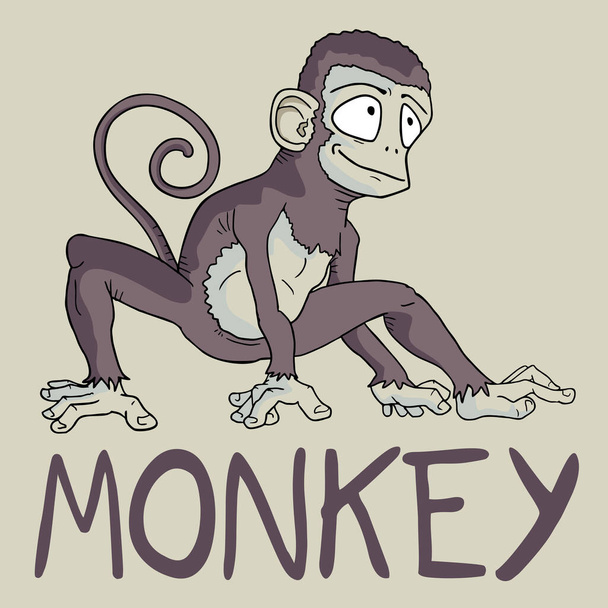 Eredeti majomvektor illusztráció - Vektor, kép