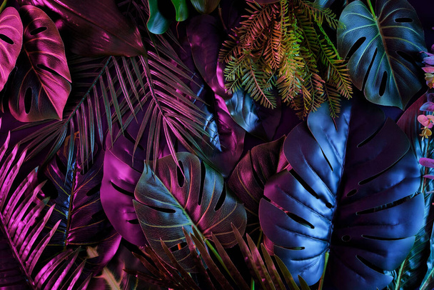 Tropical dark trend jungle in neon illuminated lighting. Exotic palms and plants in retro style. - Foto, Imagen
