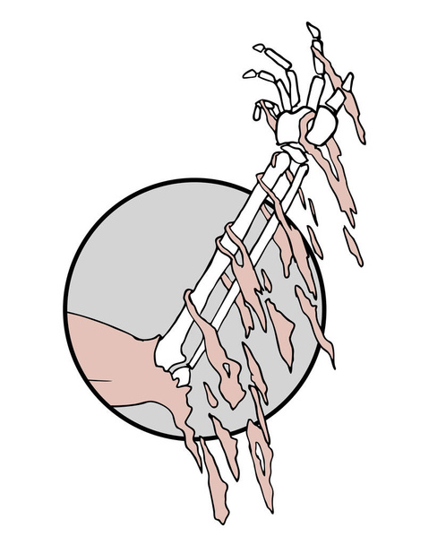 esqueleto braço vetor ilustração - Vetor, Imagem