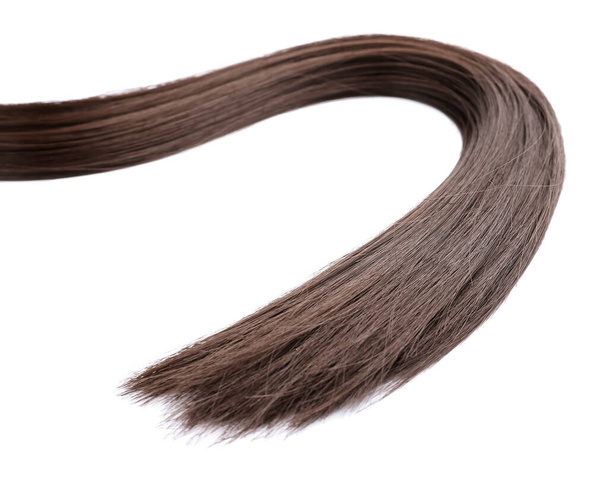 Strand of brown hair on white background - Photo, Image
