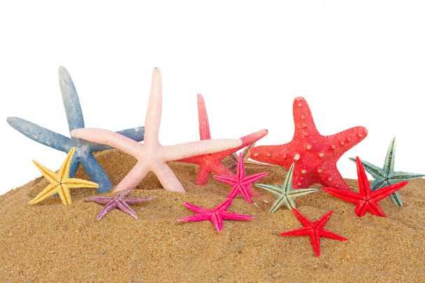 starfish in sand - Фото, изображение