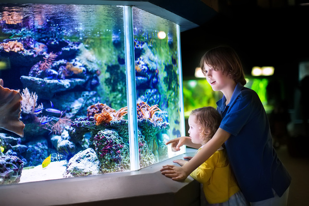 Brother and sister watching fishes in a zoo - Photo, Image