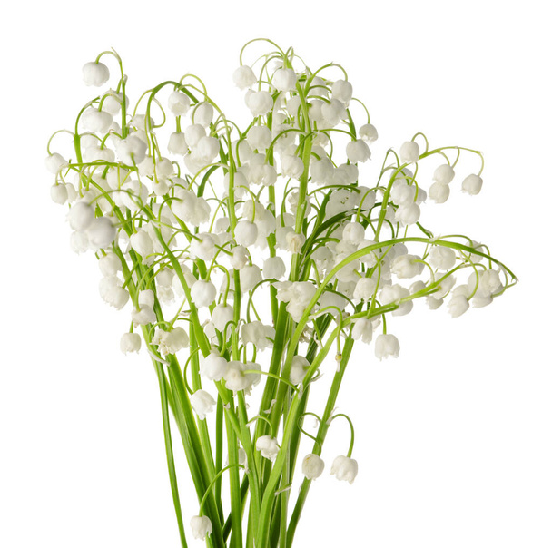 Beautiful lily-of-the-valley flowers on white background - Photo, Image