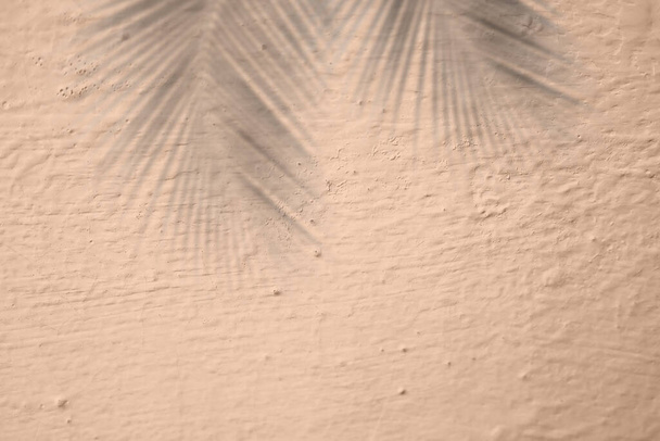 La palma deja la sombra sobre el cemento anaranjado descolorido. silueta de coco en la estructura pantalla de hormigón oscuro con space.new libre diseño para viajes turísticos vacaciones tropicales verano concepto de la naturaleza. - Foto, imagen
