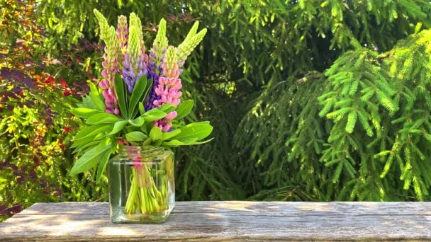 Mooie zomer compositie boeket van lupine bloemen op een natuurlijke groene achtergrond, ruimte voor tekst. Begrip goedemorgen, zomerstemming, geluk - Video