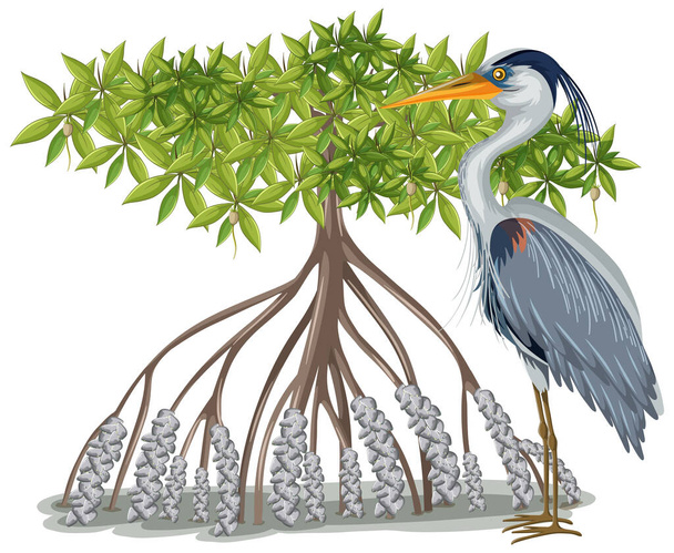 Mangrove Tree ile Büyük Mavi Balıkçıl beyaz arkaplan resimlerinde çizgi film stili - Vektör, Görsel