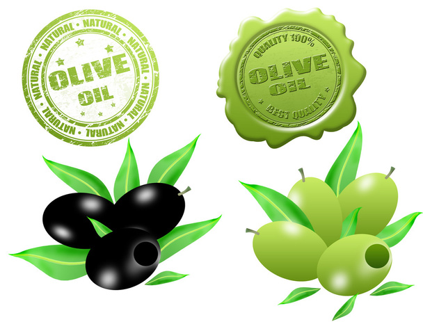 Černé a zelené olivy - Vektor, obrázek