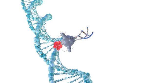 Los nanobots médicos reparan una sección dañada del ADN. Renderizado 3D. - Foto, imagen