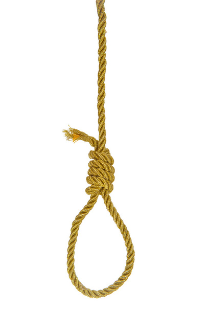 Hanging noose on golden rope - Фото, изображение
