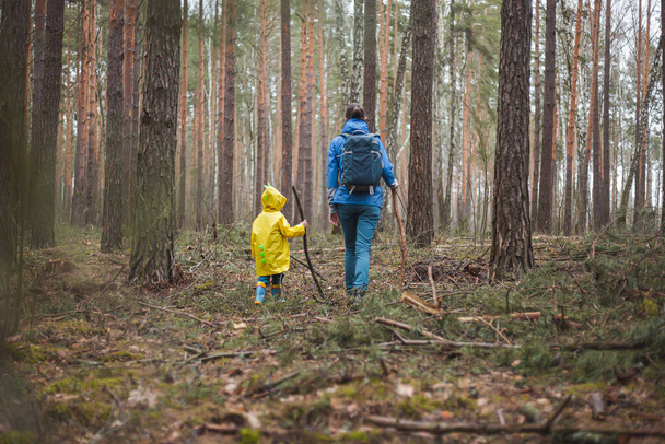 Mom and child walking in the forest after the rain in raincoats with wooden sticks in hands, back view - Fotografie, Obrázek