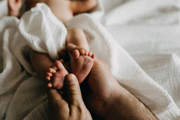 Padre sosteniendo pequeños pies de bebé recién nacido en sus grandes manos. - Foto, imagen