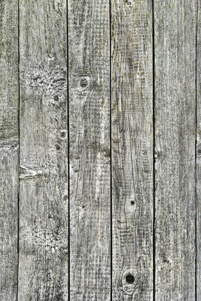The texture of the old wooden boards - Photo, Image