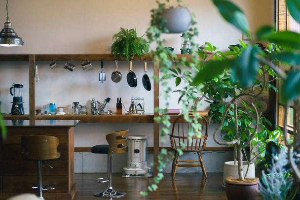 Un interior tranquilo y espacio de cocina con plantas de follaje - Foto, imagen