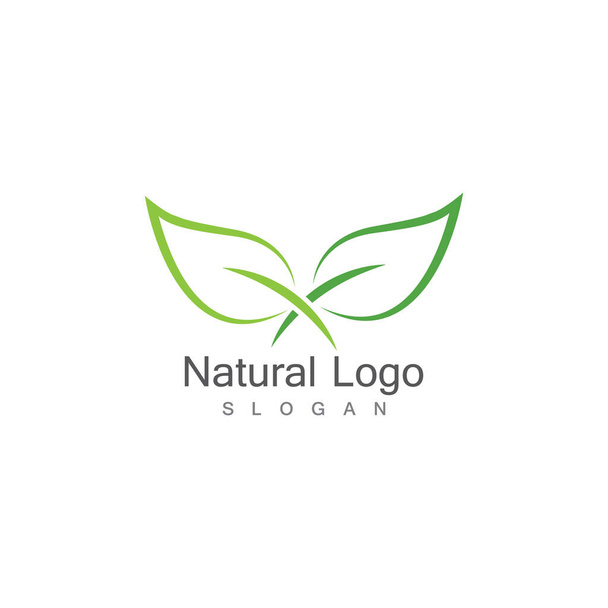 Leaf icon Vector Illustration design Logo template - Vecteur, image