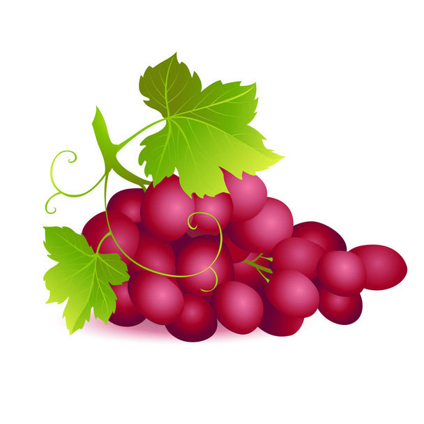 Icon of Ripe summer grape with two green leaves - Vecteur, image