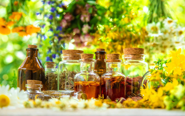 Tincture of medicinal herbs in bottles. Selective focus. Nature. - Photo, Image