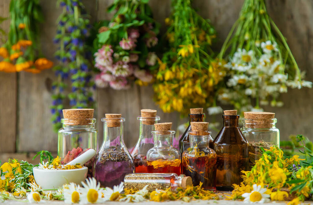 Tincture of medicinal herbs in bottles. Selective focus. Nature. - Foto, immagini