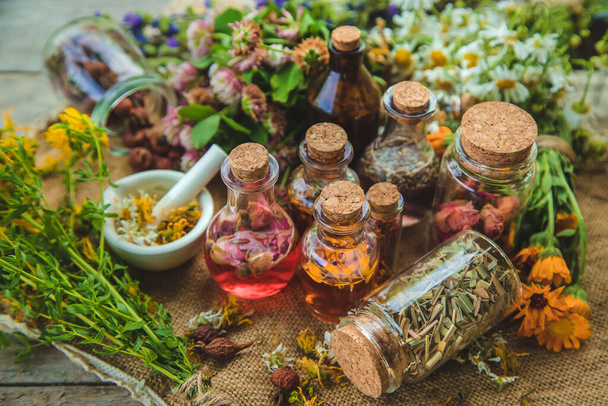 Tintura de hierbas medicinales en frascos. Enfoque selectivo. Naturaleza. - Foto, imagen