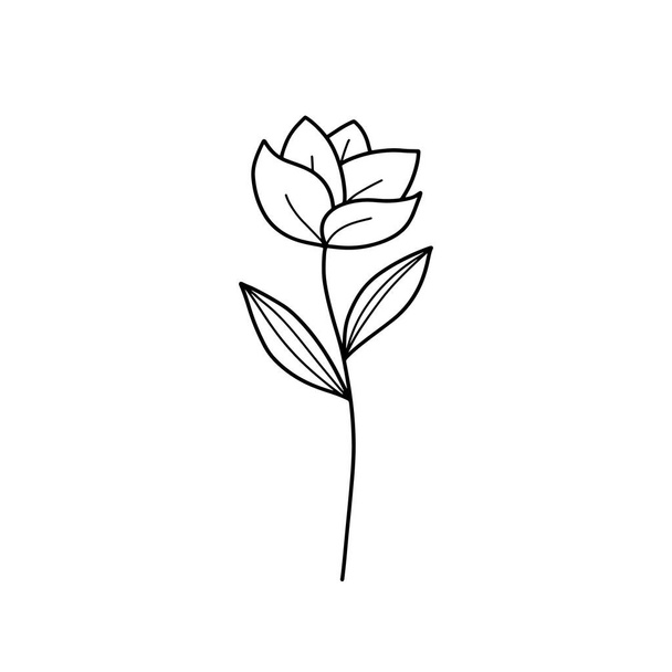 Sammlung Waldfarn Eukalyptus-Kunst Laub natürliche Blätter Kräuter in Linie Stil. Dekorative Schönheit elegante Illustration für Design Blume - Foto, Bild