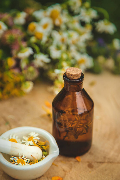 Tincture of medicinal herbs in bottles. Selective focus. Nature. - Foto, Bild