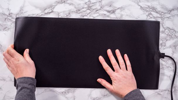 Flat lay. Step by step. Rising brioche dough on a baking sheet with a silicone mat. - Photo, Image