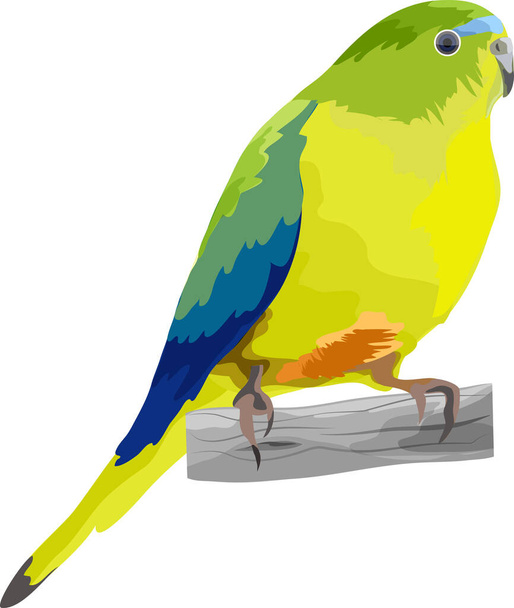 Um pássaro cantado senta-se em um galho - Vetor, Imagem
