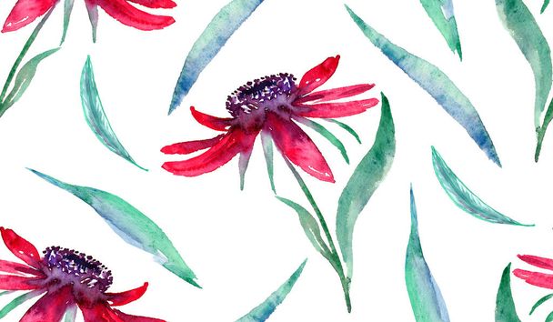 Echinacea pink flowers and leaves, hand painted watercolor illustration, seamless pattern design on white background - Valokuva, kuva
