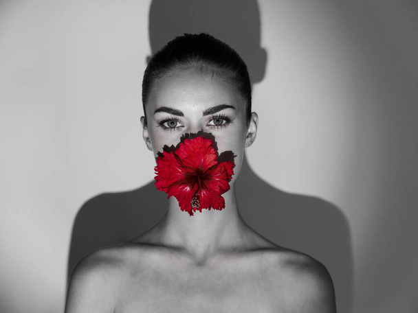красива жіноча косметика червона квітка крупним планом тінь на фоні
 - Фото, зображення