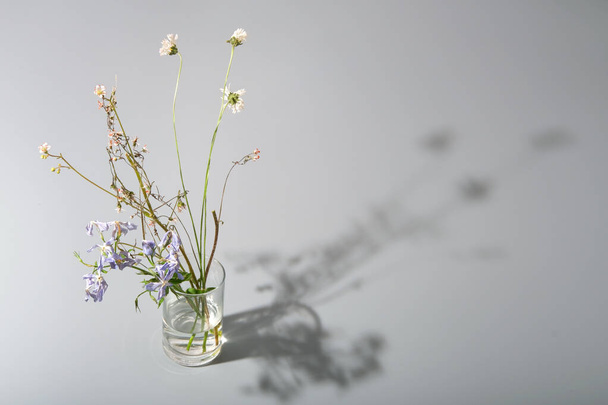 bouquet of faded and wilted wild flowers in glass with shadow on gray background, concept of memories sadness and dryness  - 写真・画像