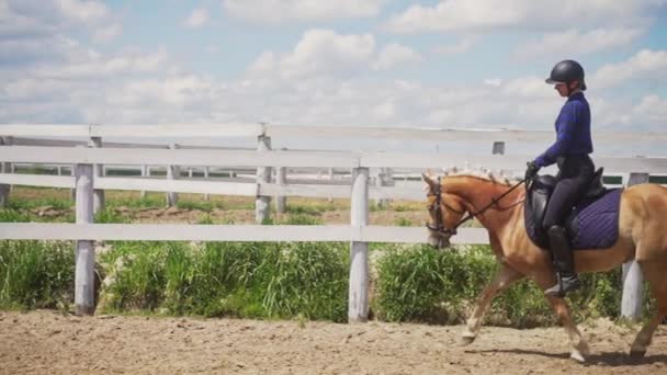 Vrouwelijke ruiter op een parel paard met een Blu e zadel rennend in het zandpark - Video