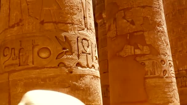 Különböző hieroglifák, jelek és szimbólumok a Karnak templomban Luxorban, Egyiptomban.  - Felvétel, videó