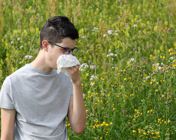 νεαρό κοντόφθαλμο αγόρι με γυαλιά φτερνίζεται από αλλεργία βοτάνων στον ανθισμένο τομέα την άνοιξη - Φωτογραφία, εικόνα