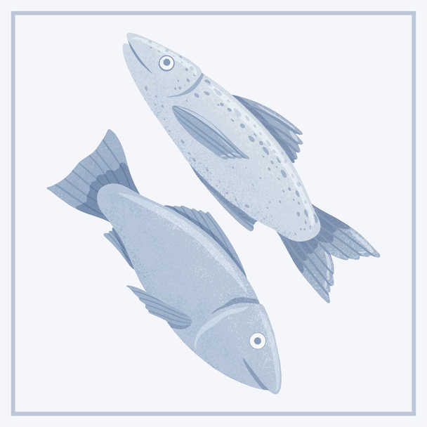 Salmones sabrosos frescos, peces de mar vector ilustración dibujada a mano aislado sobre fondo azul claro. - Vector, Imagen