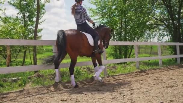 Νεαρή κοπέλα ιππασία σε ένα άλογο κόλπο - το άλογο που τρέχει κατά μήκος του ξύλινου φράχτη - Πλάνα, βίντεο