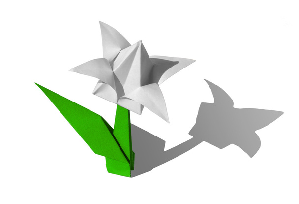 Origami weiße Blume, Tulpe, isoliert auf weiß - Foto, Bild