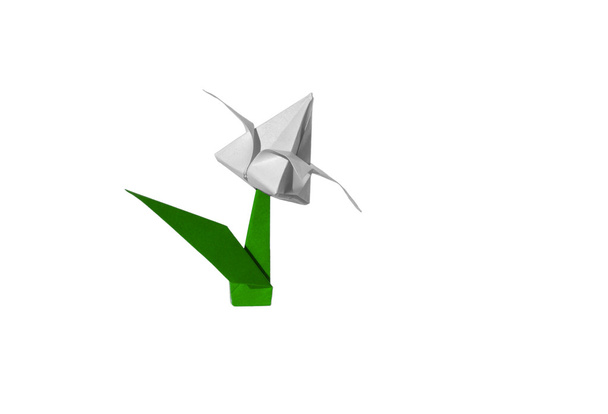 biały origami kwiat, Tulipan, na białym tle - Zdjęcie, obraz