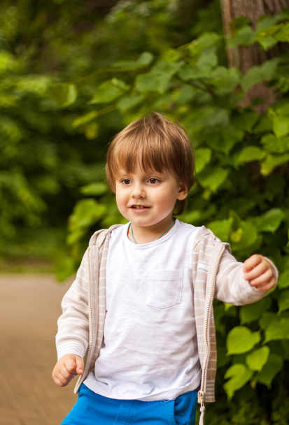 Preschooler has fun in the park. Take a walk, play and have fun. Emotions, joy. Portrait of a child. - Fotoğraf, Görsel
