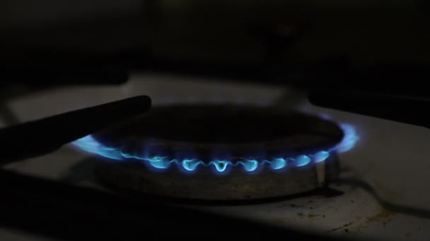 Fuego en una estufa de gas en una estufa de gas - Imágenes, Vídeo