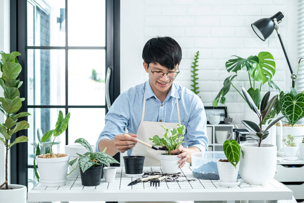 Hombre asiático jardinero utilizando la pala para trasplantar la planta en una nueva olla y cuidar de las plantas en la habitación en el hogar, mientras que la actividad hobby, Concepto de jardín en casa - Foto, Imagen