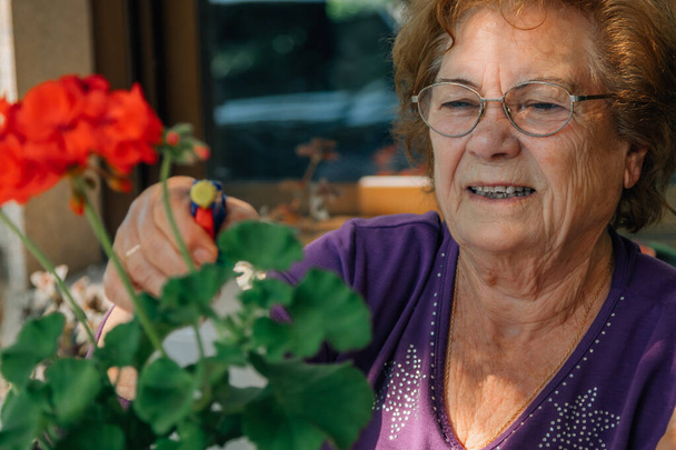 Seniorin kümmert sich um Pflanzen - Foto, Bild
