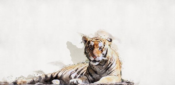 O tigre está deitado num tronco de madeira. Pintura aquarela. - Foto, Imagem