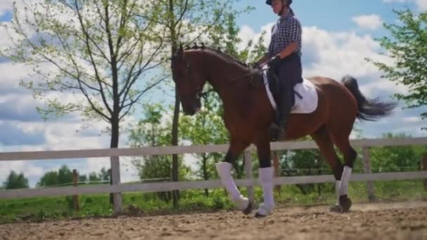 Naispuolinen jockey ratsastaa hänen tumma lahti hevonen Sandy Arena päivällä - Materiaali, video