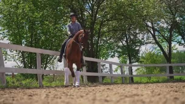 Jockey em um cavalo escuro da baía montando ao longo da cerca de madeira na arena arenosa - Filmagem, Vídeo