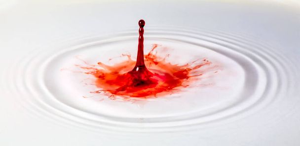 A single red paint drop lands in a shallow pool of water, creating a colorful splash. - Foto, afbeelding