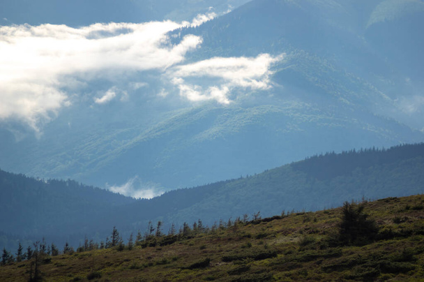 Mist op een bergketen in de Karpaten. Prachtig landschap - Foto, afbeelding
