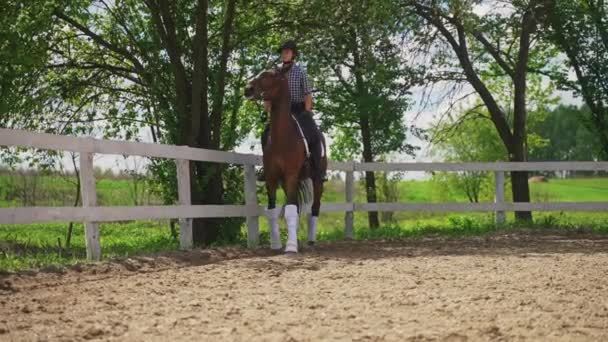 Jóquei Feminino em uma equitação de cavalo de baía escura ao longo da cerca de madeira - Equitação - Filmagem, Vídeo